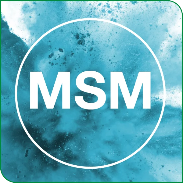 Grafische Darstellung von MSM (Methylsulfonylmethan) als hellblaues Pulver.