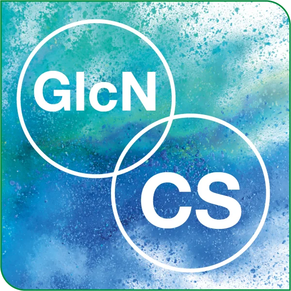 Grafische Darstellung von Glucosamin und Chondroitin als grün-blaues Pulver.