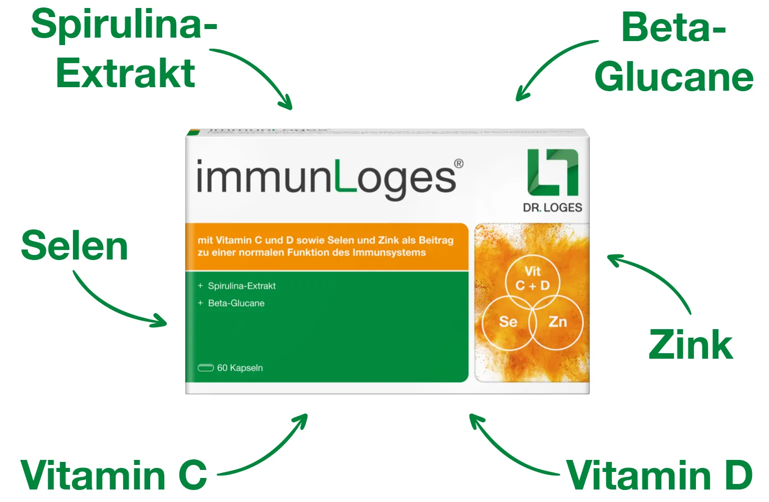 immunLoges_Grafik-Inhaltsstoffe_wh_1_1536x1002.webp
