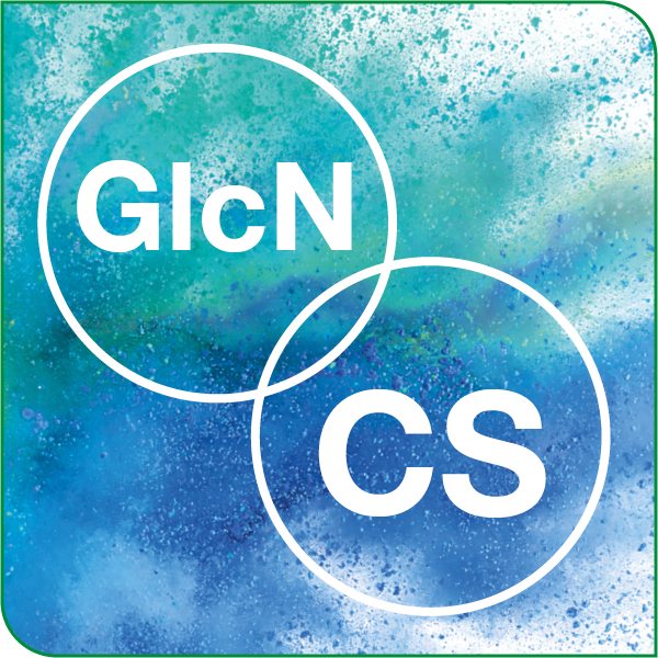 Grafische Darstellung von Glucosamin und Chondroitin als grün-blaues Pulver.
