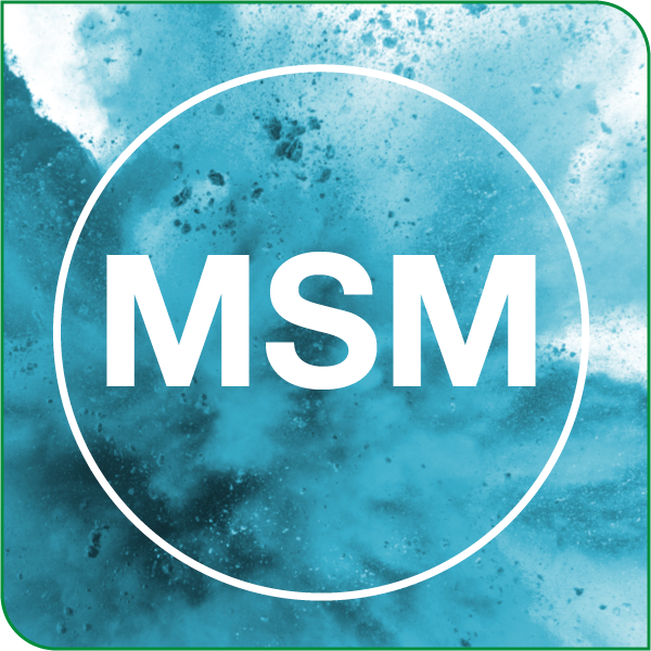 Grafische Darstellung von MSM (Methylsulfonylmethan) als hellblaues Pulver.